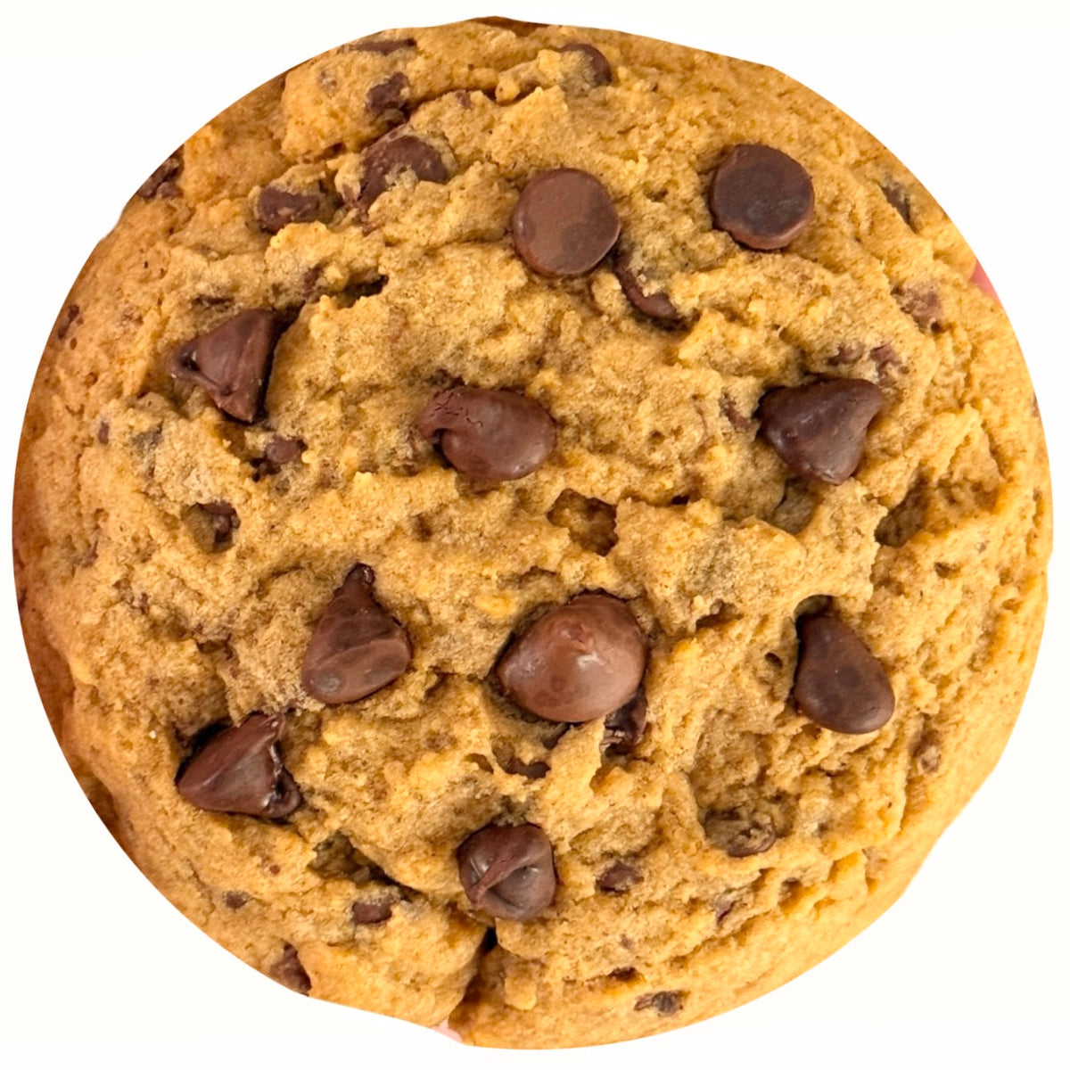 Pumpkin Chocolate Chip